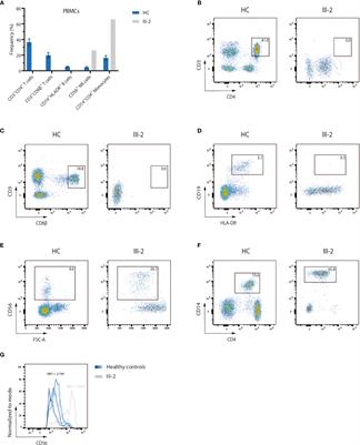 A Novel Non-Coding Variant in DCLRE1C Results in Deregulated Splicing and Induces SCID Through the Generation of a Truncated ARTEMIS Protein That Fails to Support V(D)J Recombination and DNA Damage Repair